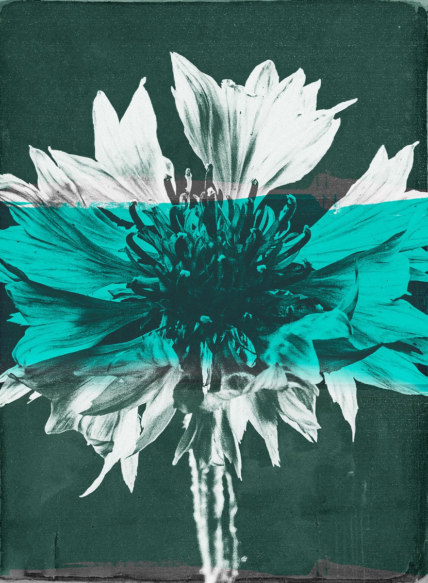 Botanical Painting By Teis Albers, 35 X 47", Oracle, Original Artwork