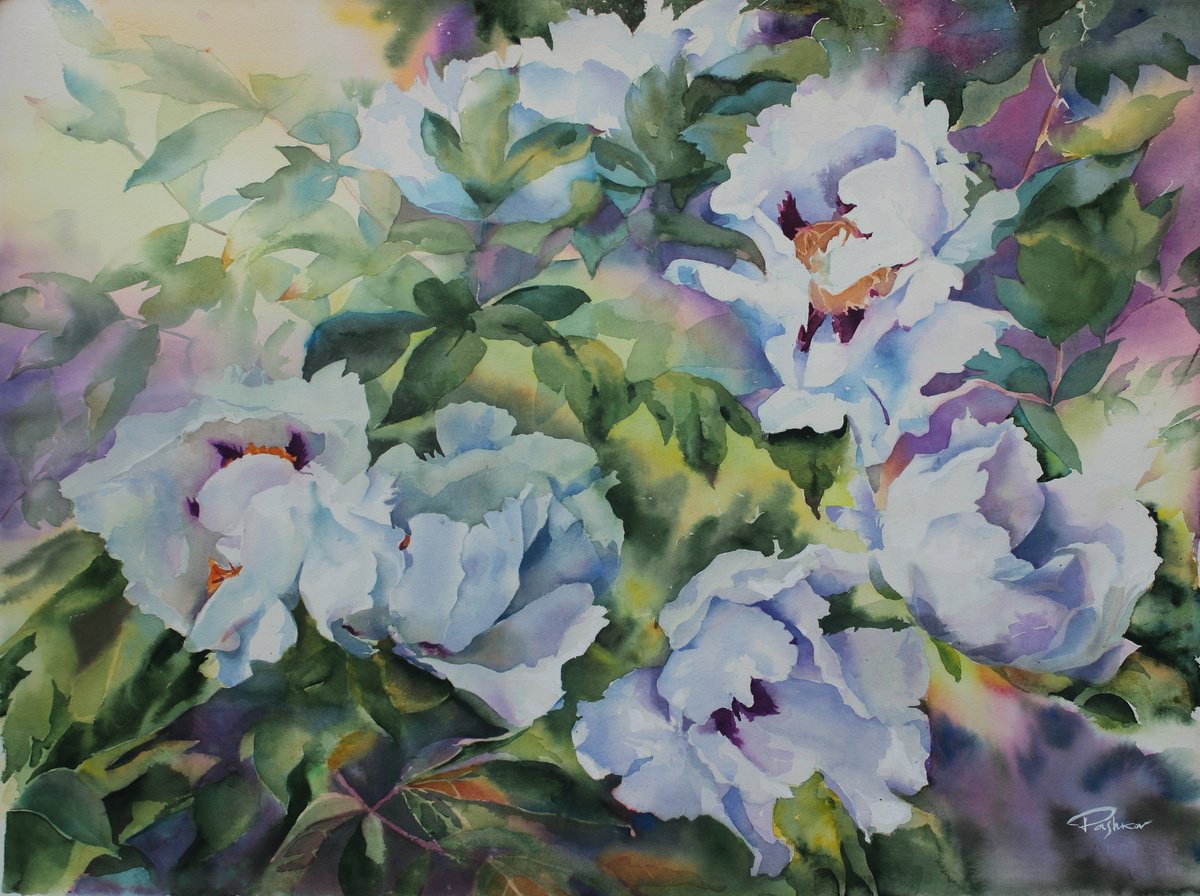 Impressionistic Botanical Watercolour By Yurii Pashkov, 30 X 22", White Peonies #3, Original Artwork