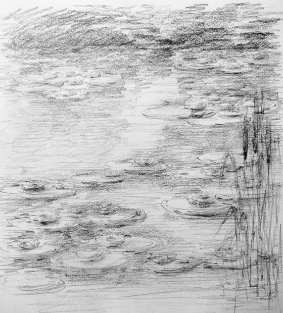 Water lilies. Sketch #2. Original pencil drawing.
