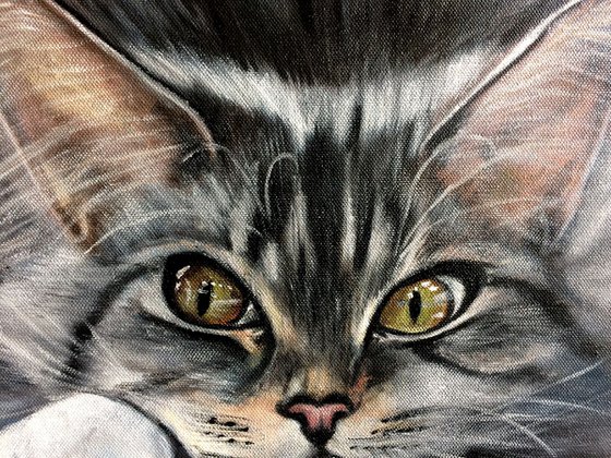 Who are you? Realistic painting  lovely Cat