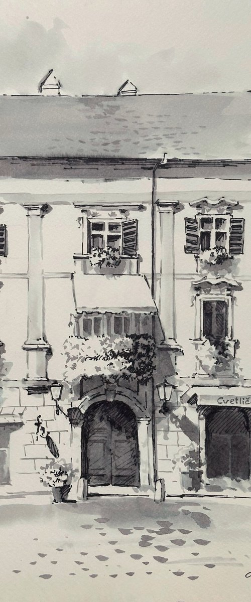 Flower balcony in Ptuj by Yuliia Ludanova