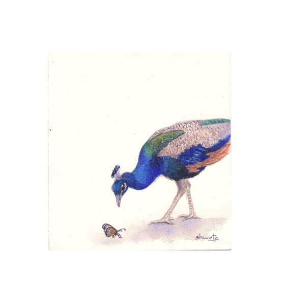 Peacock and butterfly