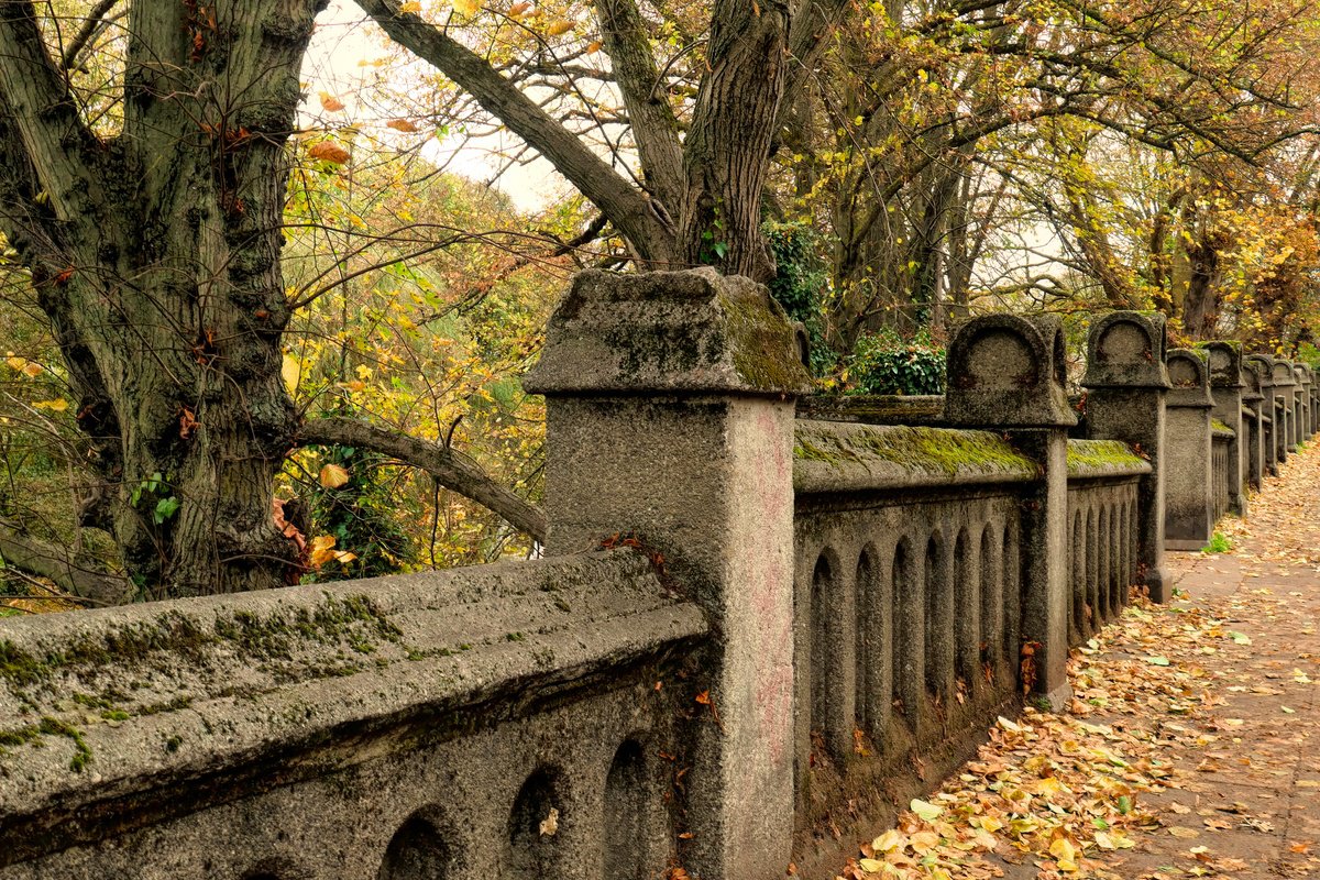 Autumn Wall by Martin Fry