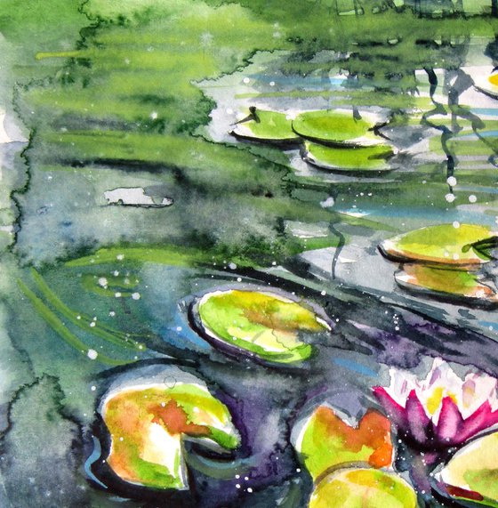 Water lilies collection II