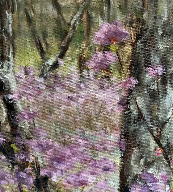 SPRING IN THE FOREST