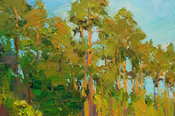 Warm evening in the forest