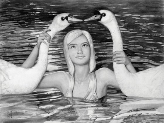 Swan love