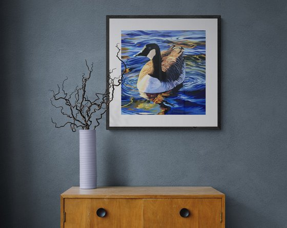 Canada Goose On The Serpentine