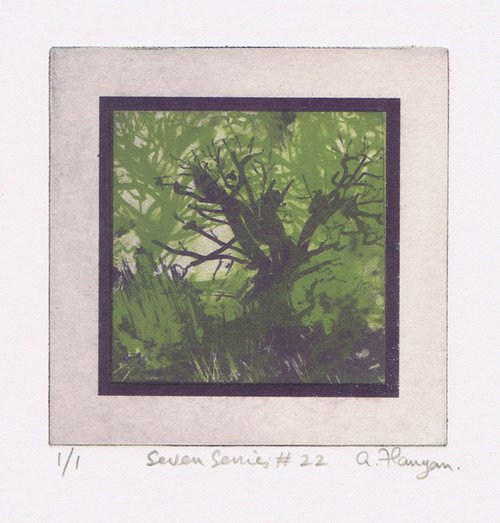 Seven Series #22 by Aidan Flanagan Irish Landscapes
