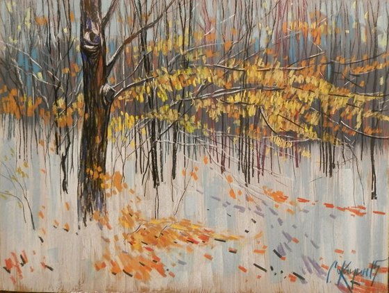 the first snow