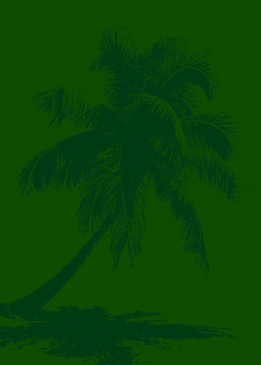 Palm tree_3 | 27,6x19,7 (70x50 cm) by Kosta Morr