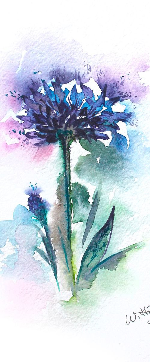 Violet flower by Svetlana Vitman