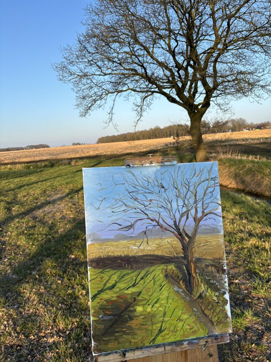 Lone Tree in a March Field