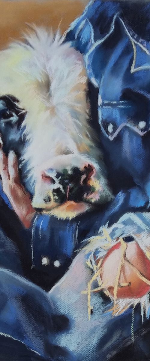 a small calf by Magdalena Palega