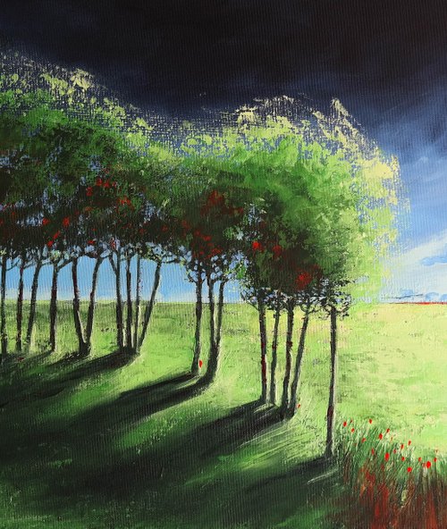 Early  Summer Storm - Fields and Colors Series- by Danijela Dan