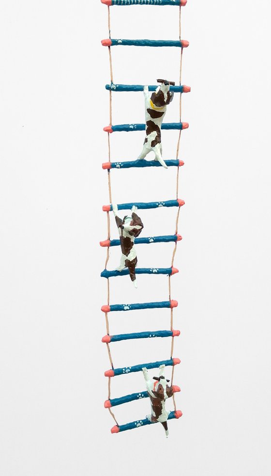 Beagles climbing ladder