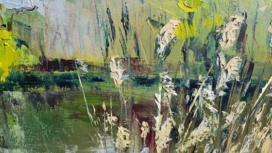 Pond in Spring