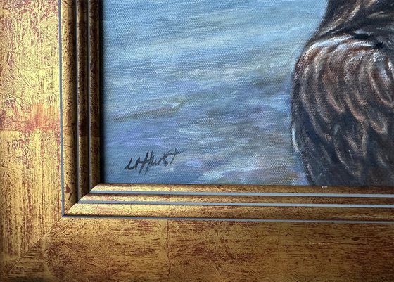 Golden Eagle, bird of prey