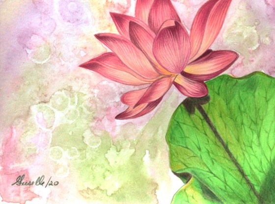 Sacred plants: Lotus flower.