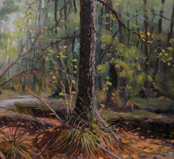 IN THE FOREST WILDERNESS