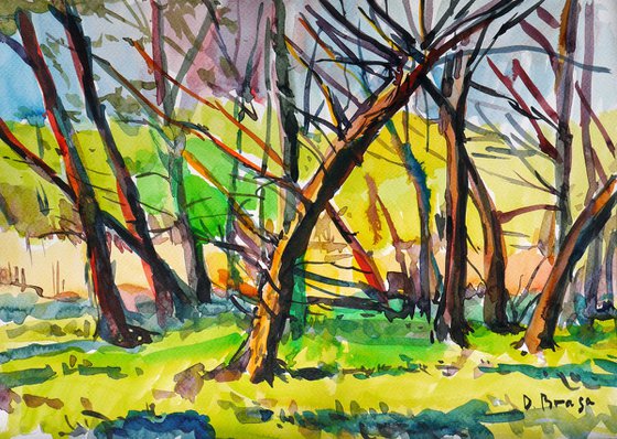 spring trees near a stream ( plein air), ink