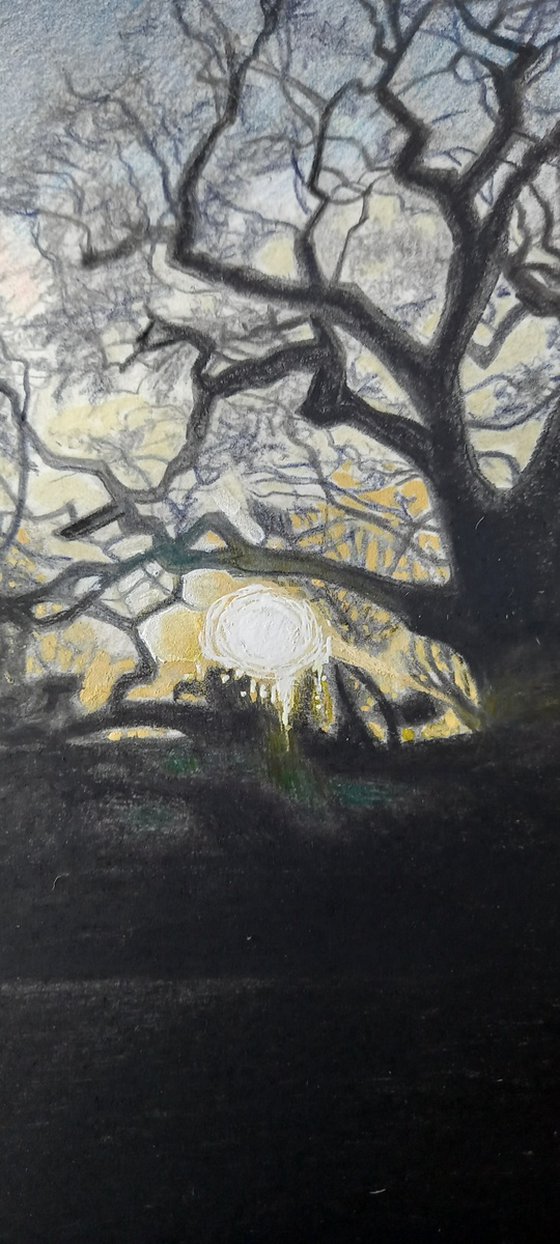 Dusk