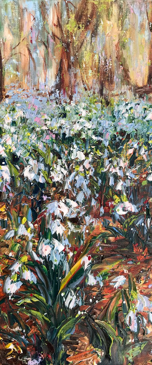 Snowdrops by Diana Malivani