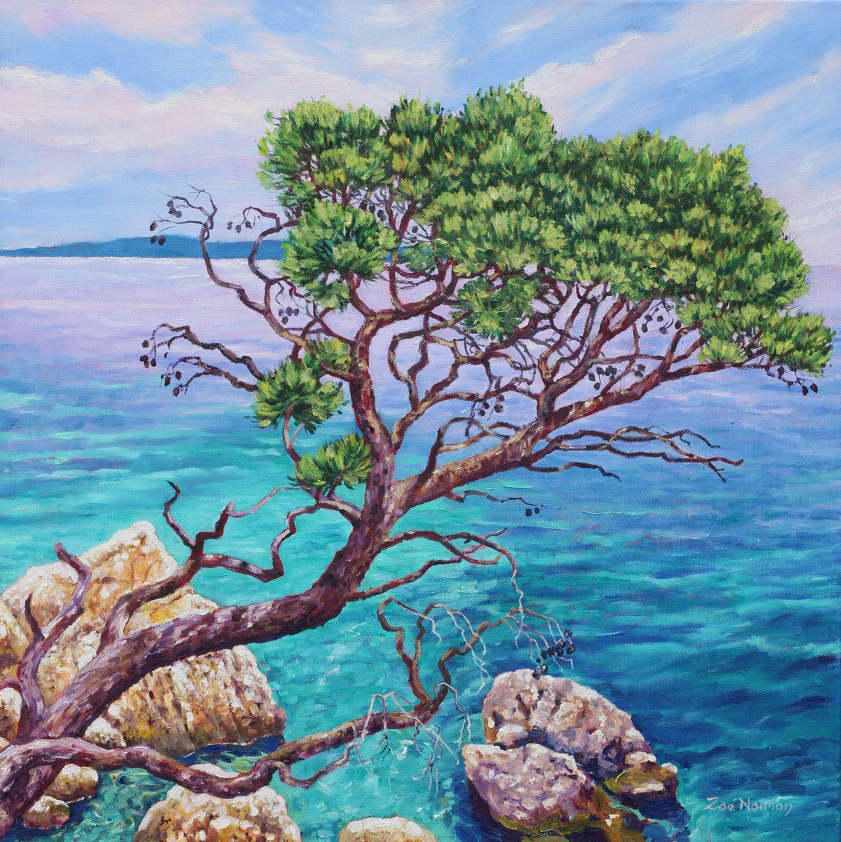 Impressionistic Landscape Oil Painting By Zoe Elizabeth Norman, 20 X 20", Cypress By The Sea, Original Artwork