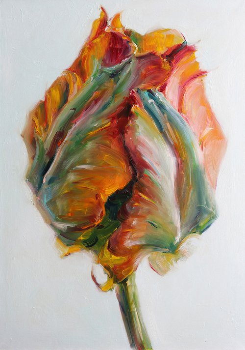 parrot tulip by Catherine Braiko