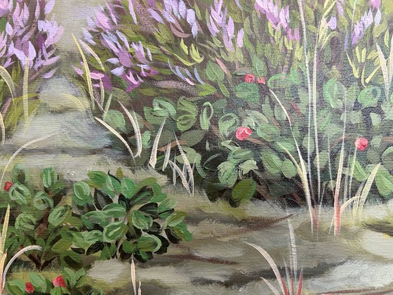 Heathland