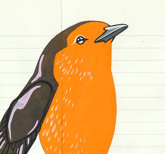 Birds of Europe: Robin