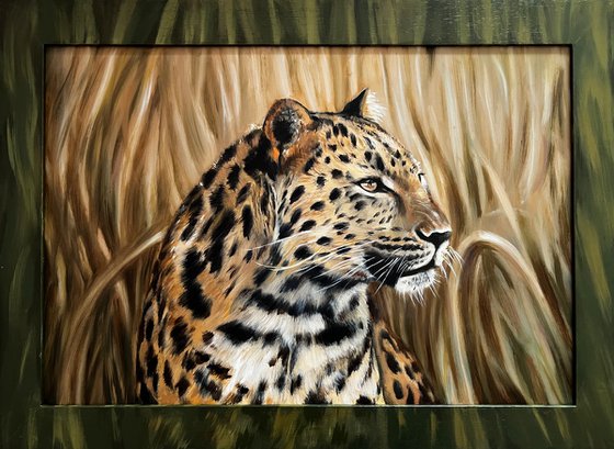 The Silent Watcher: Amur Leopard