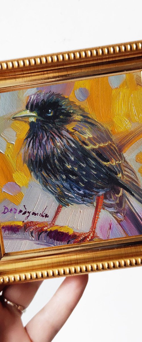 Starling bird by Nataly Derevyanko