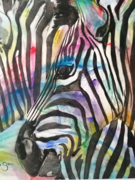 The Three Amigos. Watercolour Zebra. Free Shipping