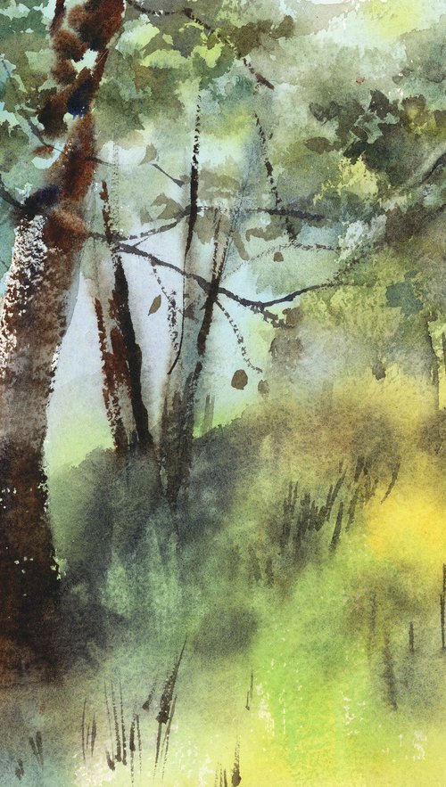 Summer Forest by Sophie Rodionov