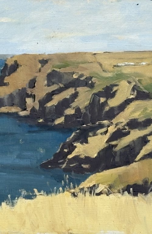 Cornish Coast at Bossiney by Louise Gillard