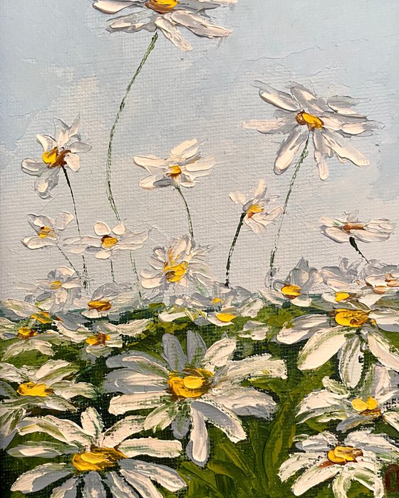 Delicate daisies