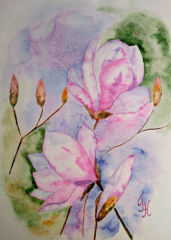 Magnolia blossoming pink magnolis flowers original watercolor painting magnolia branch" Spring beauty"