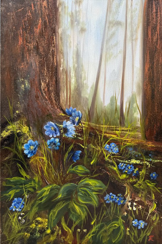 Blue Forest Flowers