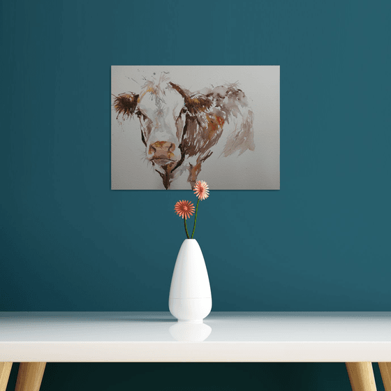 Hereford cow