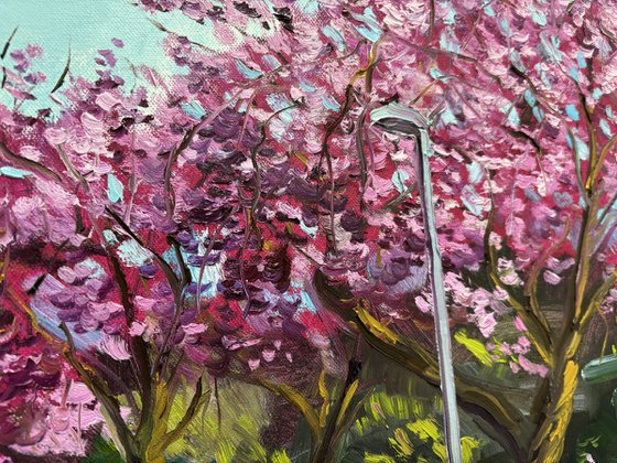 Spring Sakura Alley Plein Air