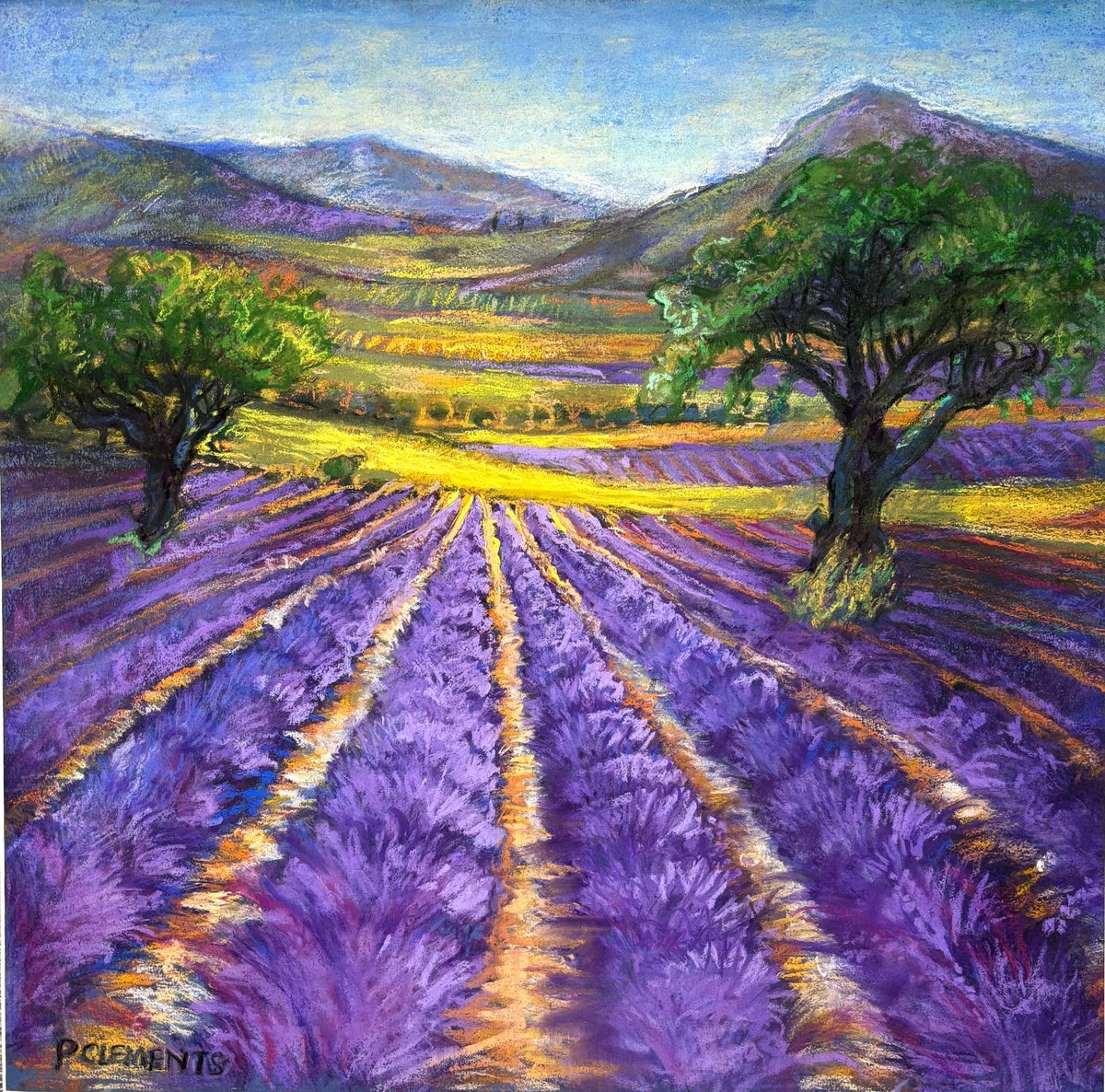Impressionistic Landscape Pastel Drawing By Patricia Clements, 22 X 22", Lavender Fields, Original Artwork
