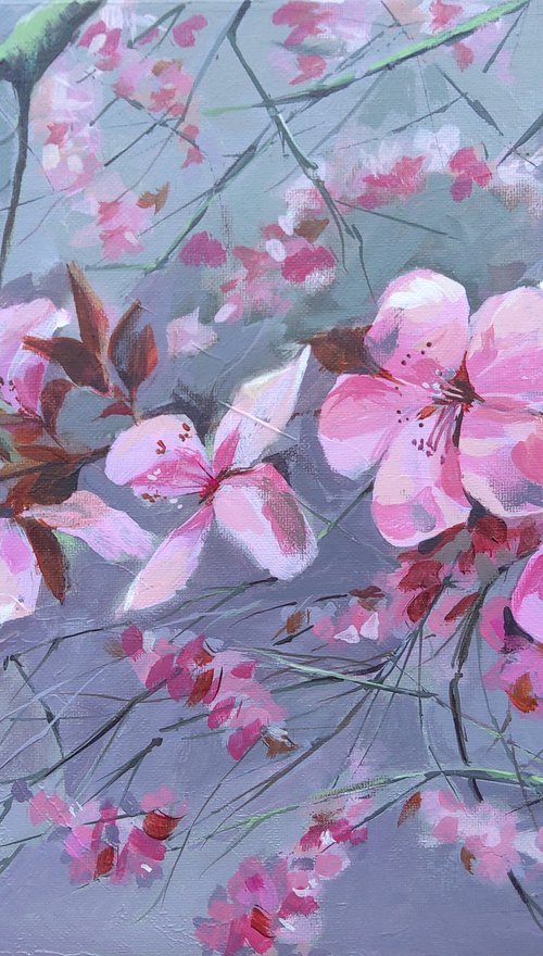 Cherry Blossom, original acrylic painting on canvas by Anjana Cawdell