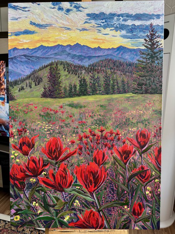 Scarlet Indian Paintbrush at Sunset