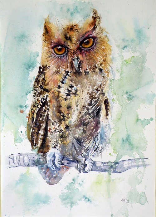 Owl by Kovács Anna Brigitta