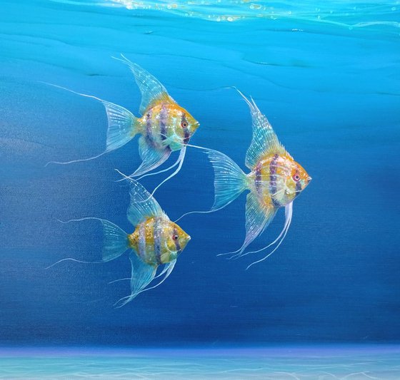 Magic Under the Sea - an underwater seascape with gold angel fish