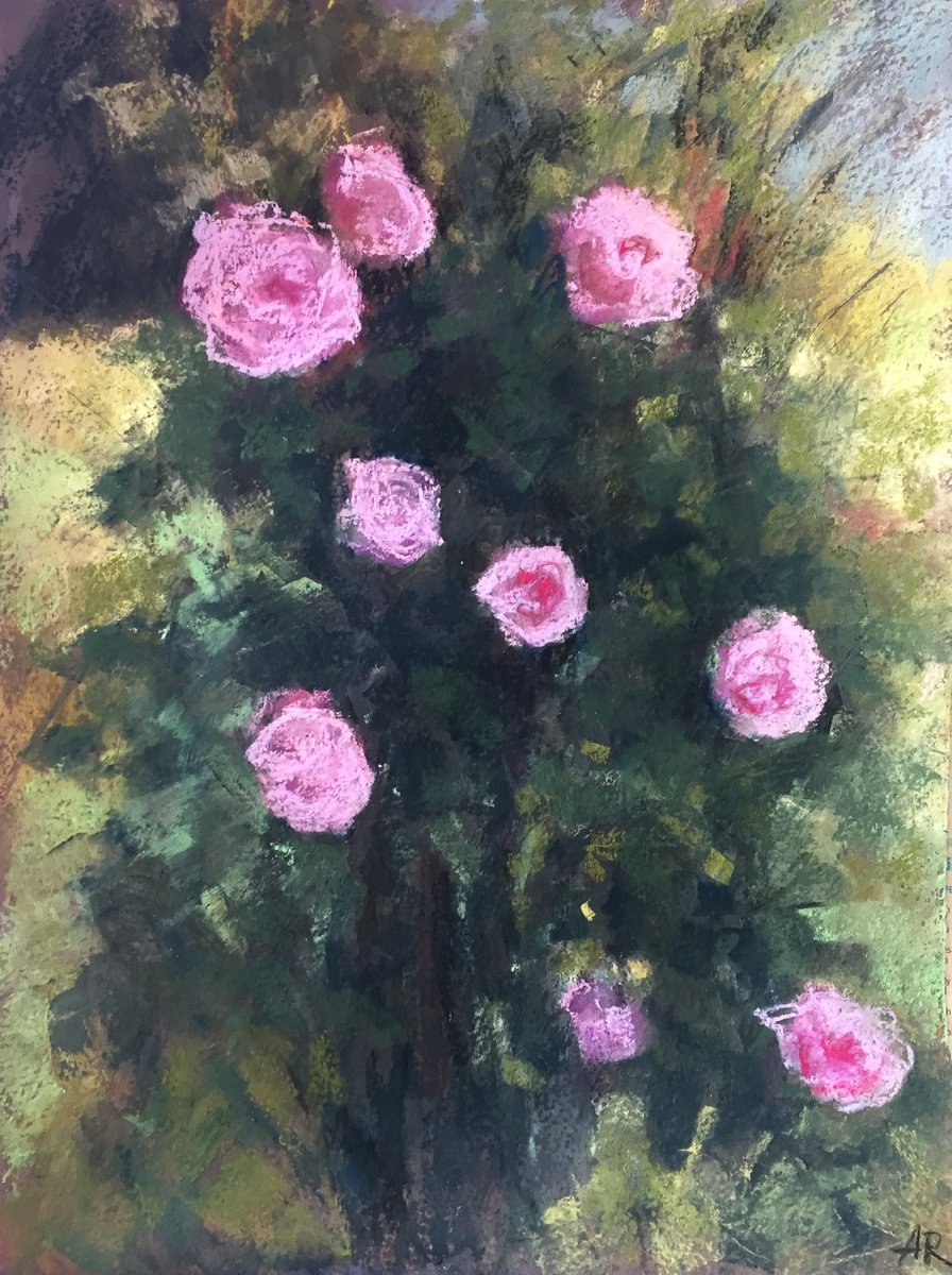 Roses In Bloom Pastel Drawing by Alena Rumak