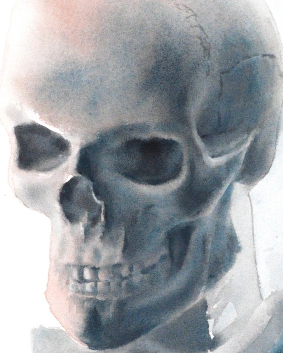 Gypsum Skull