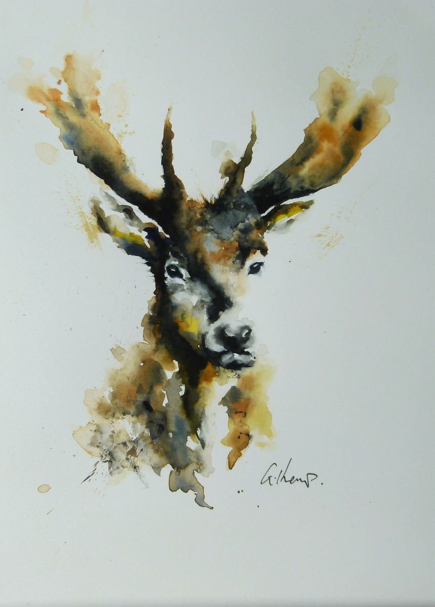 Stag Head #3 by Graham Kemp