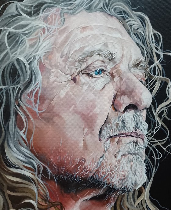 Robert Plant...a study portrait